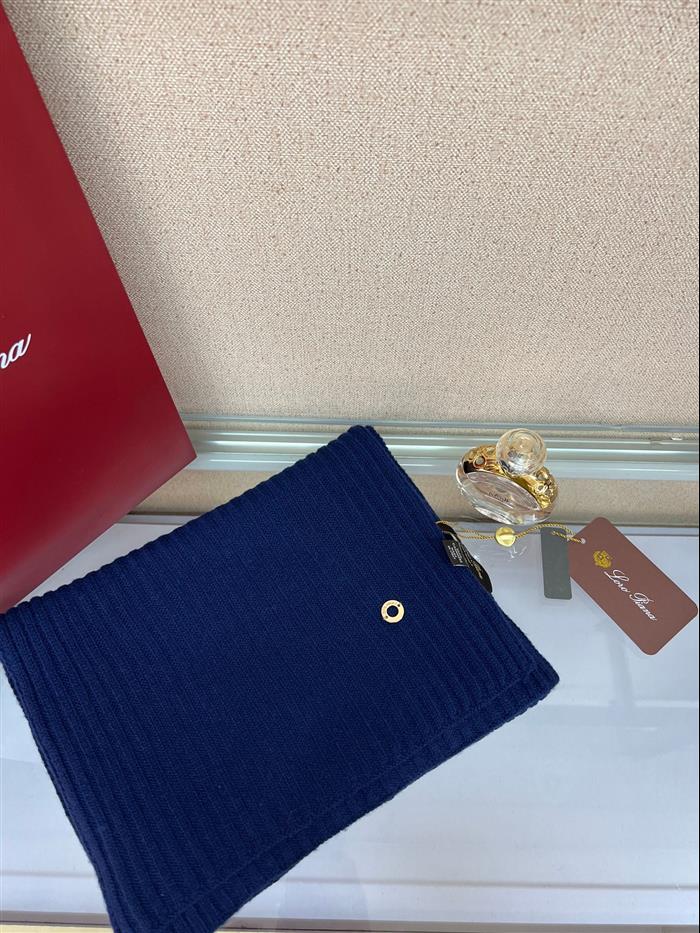 2026116112023593 100